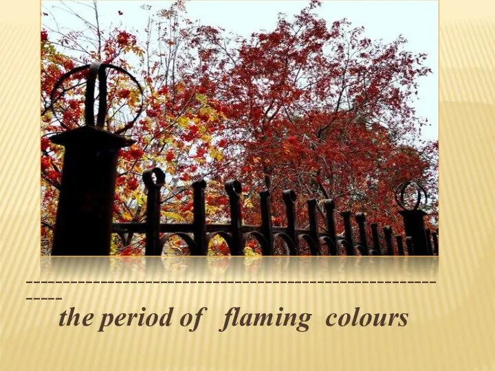 ____________________________________________________________ the period of flaming colours