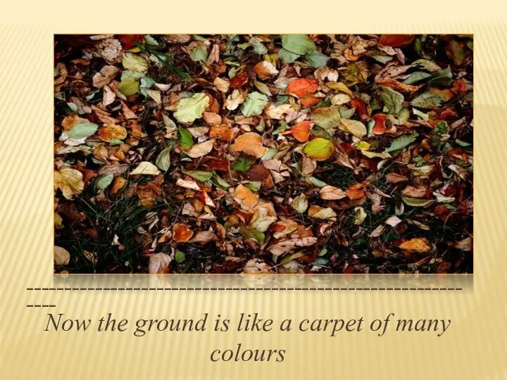 _____________________________________________________________ Now the ground is like a carpet of many colours