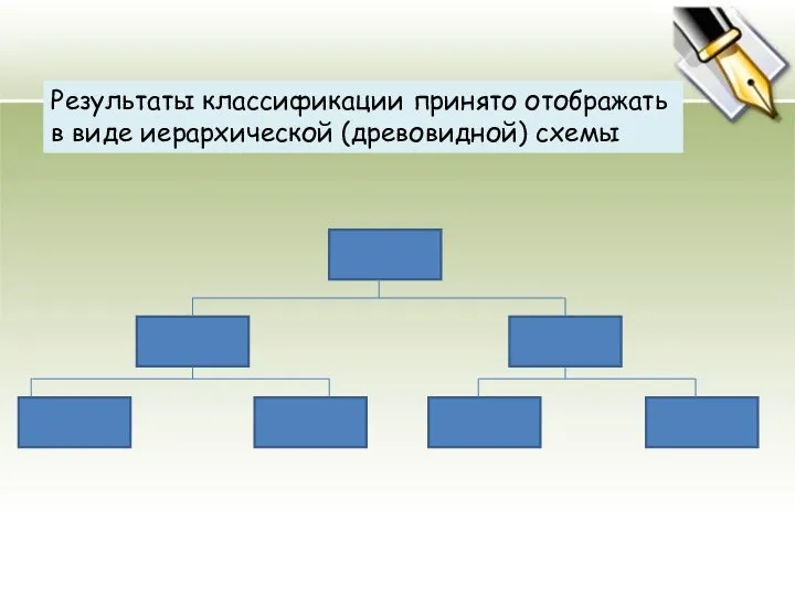 Результаты классификации принято отображать в виде иерархической (древовидной) схемы