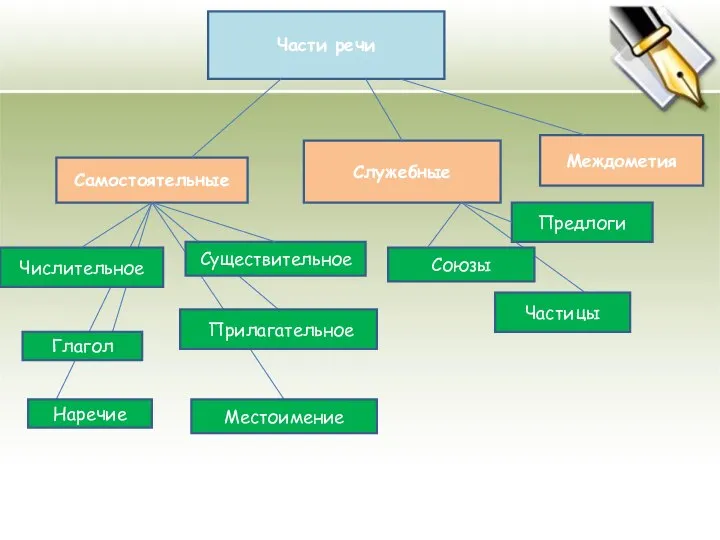 Междометия Служебные Самостоятельные Части речи Союзы Прилагательное Существительное Предлоги Глагол Наречие Частицы Числительное Местоимение