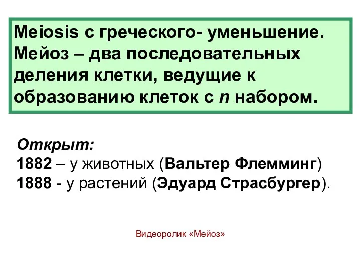 Meiosis с греческого- уменьшение. Мейоз – два последовательных деления клетки, ведущие к