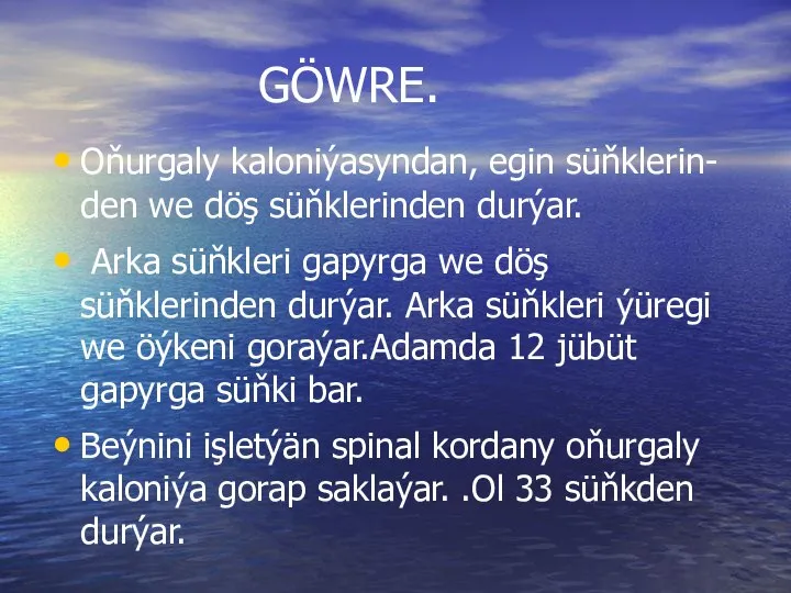 GÖWRE. Oňurgaly kaloniýasyndan, egin süňklerin- den we döş süňklerinden durýar. Arka süňkleri