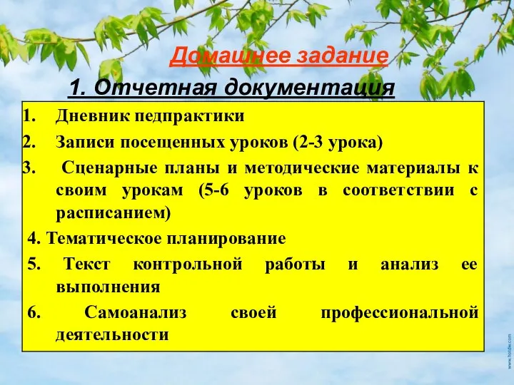 Домашнее задание 1. Отчетная документация