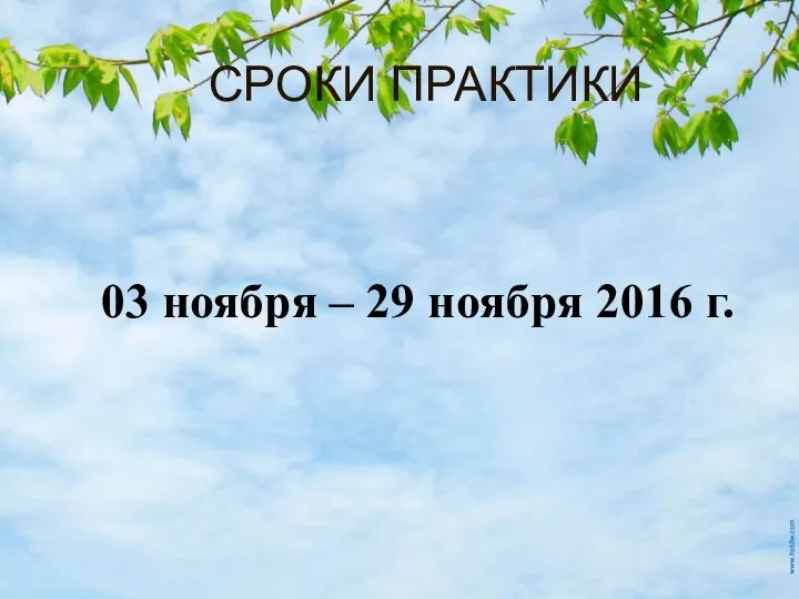 СРОКИ ПРАКТИКИ 03 ноября – 29 ноября 2016 г.