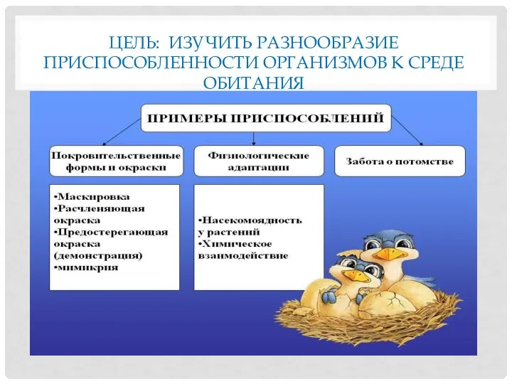 ЦЕЛЬ: ИЗУЧИТЬ РАЗНООБРАЗИЕ ПРИСПОСОБЛЕННОСТИ ОРГАНИЗМОВ К СРЕДЕ ОБИТАНИЯ