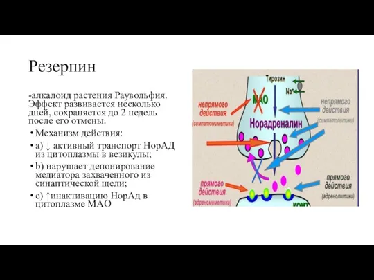 Резерпин -алкалоид растения Раувольфия. Эффект развивается несколько дней, сохраняется до 2 недель