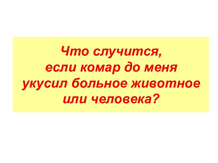 Что случится, если комар до меня укусил больное животное или человека?