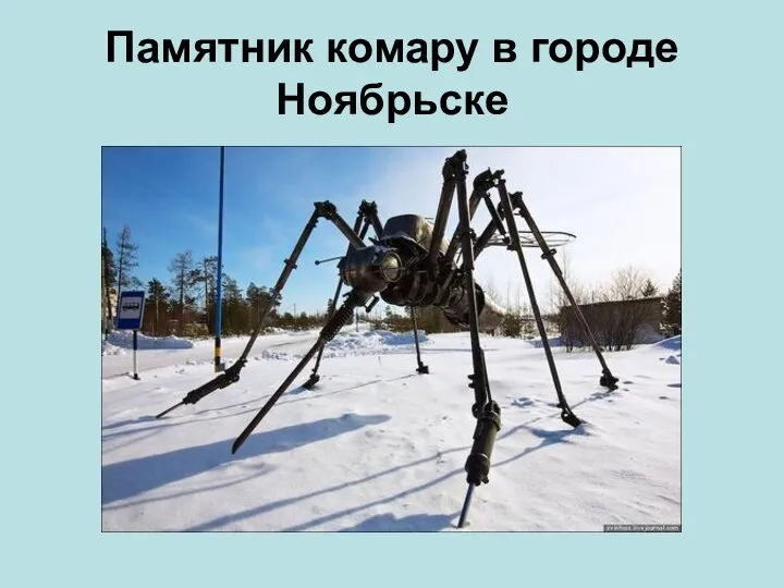 Памятник комару в городе Ноябрьске