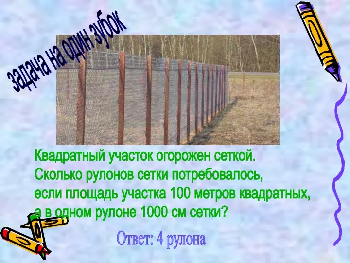 Квадратный участок огорожен сеткой. Сколько рулонов сетки потребовалось, если площадь участка 100