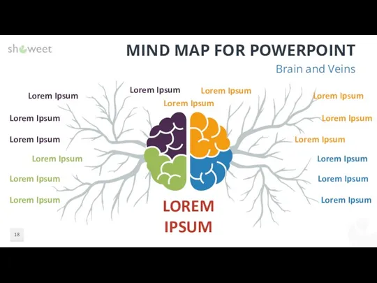 MIND MAP FOR POWERPOINT Brain and Veins LOREM IPSUM Lorem Ipsum Lorem