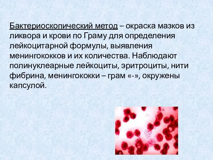 Бактериоскопический метод – окраска мазков из ликвора и крови по Граму для