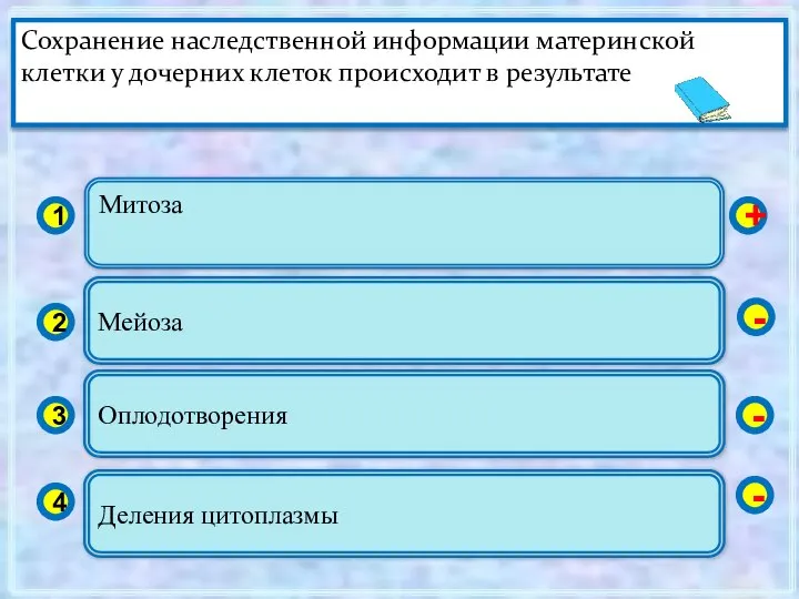 Митоза 1 2 3 4 Мейоза Оплодотворения Деления цитоплазмы + - -