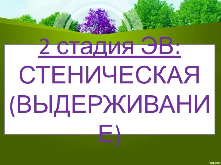 2 стадия ЭВ: СТЕНИЧЕСКАЯ (ВЫДЕРЖИВАНИЕ)