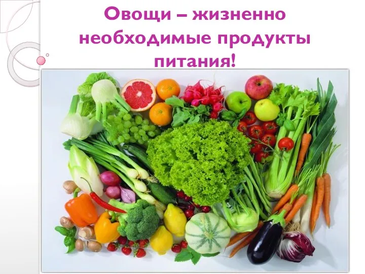 Овощи – жизненно необходимые продукты питания!