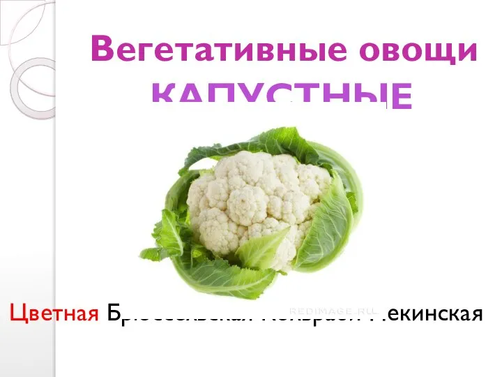 Вегетативные овощи Цветная Брюссельская Кольраби Пекинская КАПУСТНЫЕ