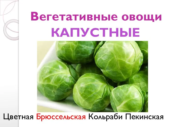 Вегетативные овощи Цветная Брюссельская Кольраби Пекинская КАПУСТНЫЕ