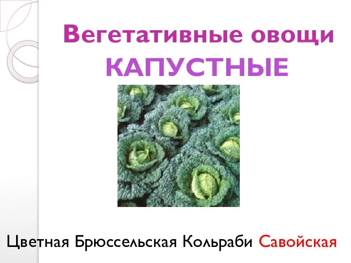 Вегетативные овощи Цветная Брюссельская Кольраби Савойская КАПУСТНЫЕ