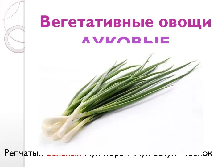 Вегетативные овощи Репчатый Зеленый Лук-порей Лук-батун Чеснок ЛУКОВЫЕ