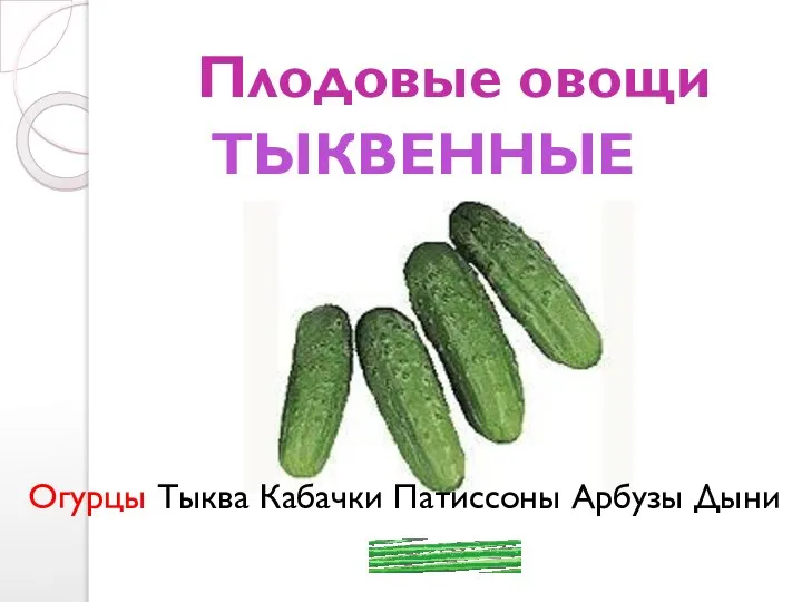 Плодовые овощи Огурцы Тыква Кабачки Патиссоны Арбузы Дыни ТЫКВЕННЫЕ