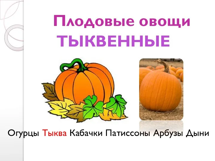 Плодовые овощи Огурцы Тыква Кабачки Патиссоны Арбузы Дыни ТЫКВЕННЫЕ