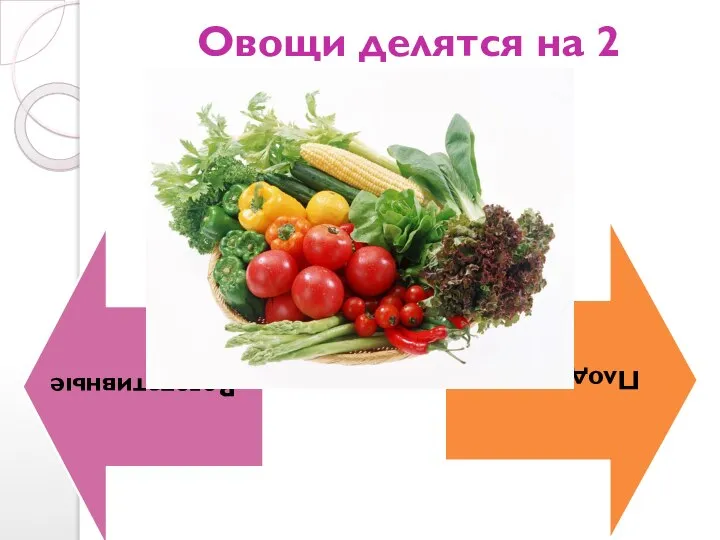 Овощи делятся на 2 группы