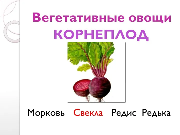 Вегетативные овощи Морковь Свекла Редис Редька КОРНЕПЛОДЫ