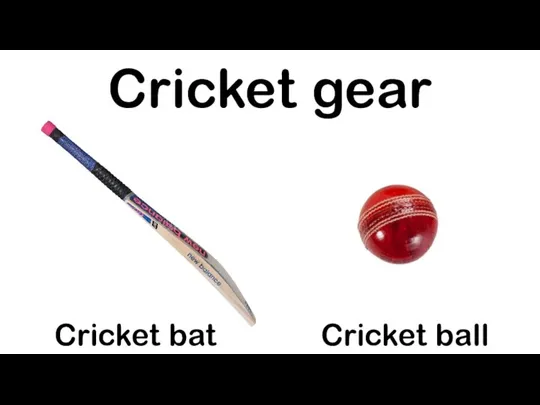 Cricket gear Cricket bat Cricket ball