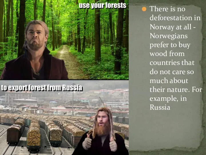 There is no deforestation in Norway at all - Norwegians prefer to
