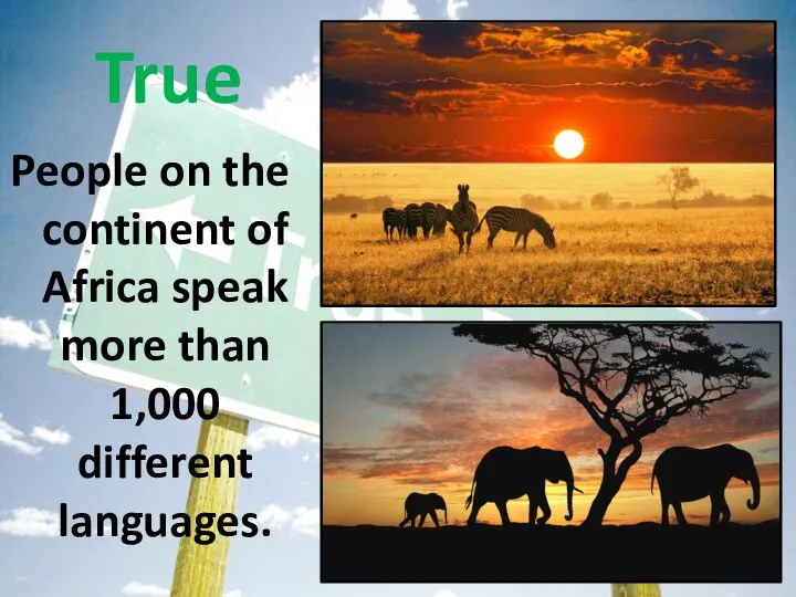 People on the continent of Africa speak more than 1,000 different languages. True