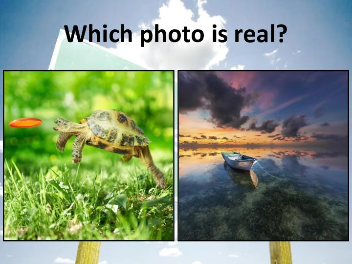 Which photo is real?