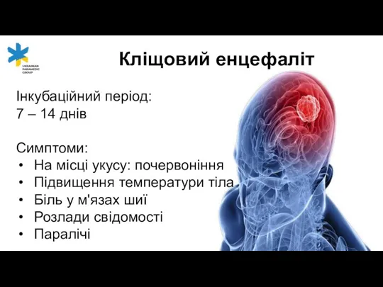 Кліщовий енцефаліт Інкубаційний період: 7 – 14 днів Симптоми: На місці укусу: