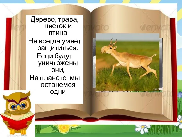 Дерево, трава, цветок и птица Не всегда умеет защититься. Если будут уничтожены