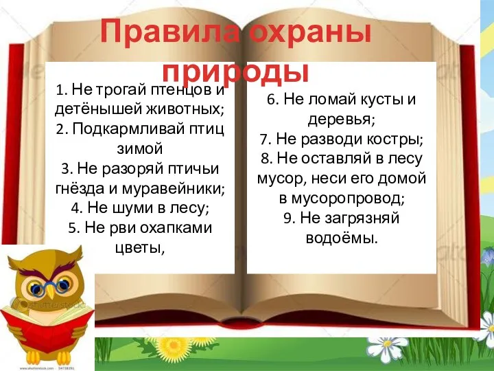 1. Не трогай птенцов и детёнышей животных; 2. Подкармливай птиц зимой 3.