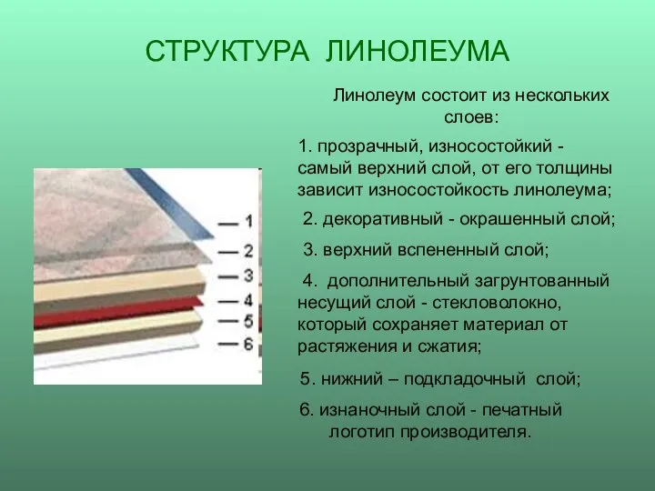 СТРУКТУРА ЛИНОЛЕУМА Линолеум состоит из нескольких слоев: 1. прозрачный, износостойкий - самый