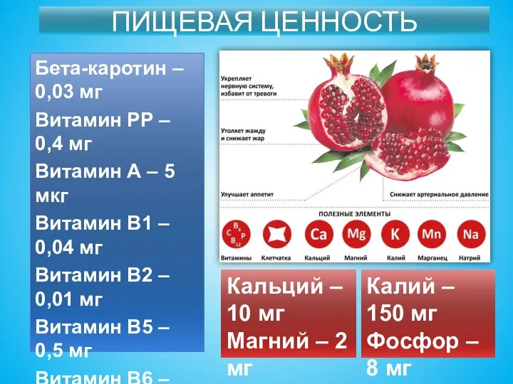 ПИЩЕВАЯ ЦЕННОСТЬ Бета-каротин – 0,03 мг Витамин РР – 0,4 мг Витамин