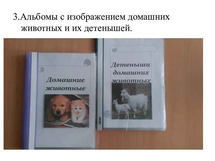 3.Альбомы с изображением домашних животных и их детенышей.