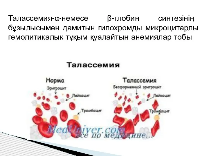 Талассемия-α-немесе β-глобин синтезінің бұзылысымен дамитын гипохромды микроцитарлы гемолитикалық тұқым қуалайтын анемиялар тобы