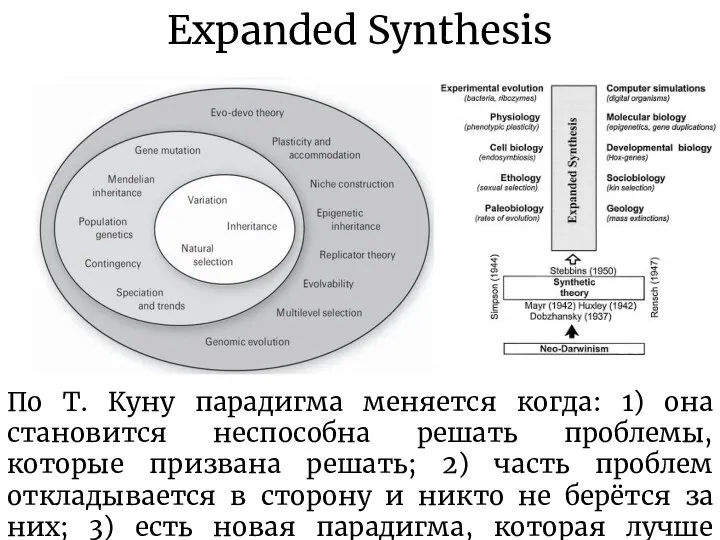 Expanded Synthesis По Т. Куну парадигма меняется когда: 1) она становится неспособна