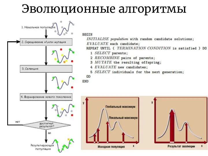 Эволюционные алгоритмы