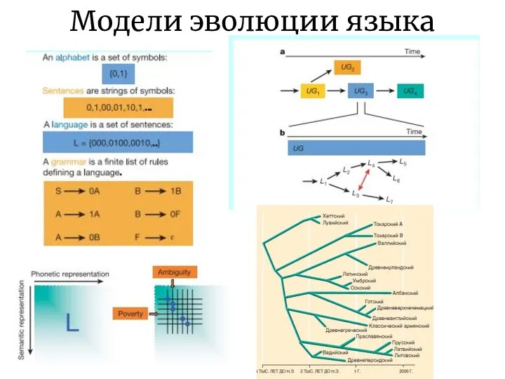 Модели эволюции языка