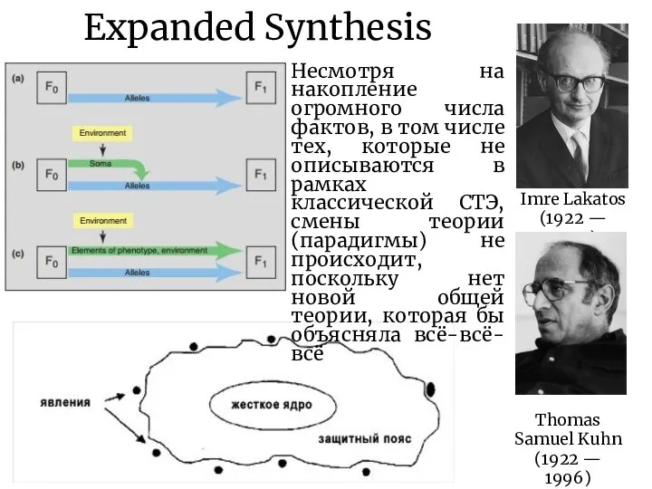 Expanded Synthesis Несмотря на накопление огромного числа фактов, в том числе тех,