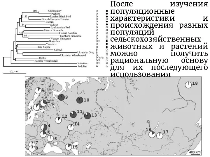 После изучения популяционные характеристики и происхождения разных популяций сельскохозяйственных животных и растений