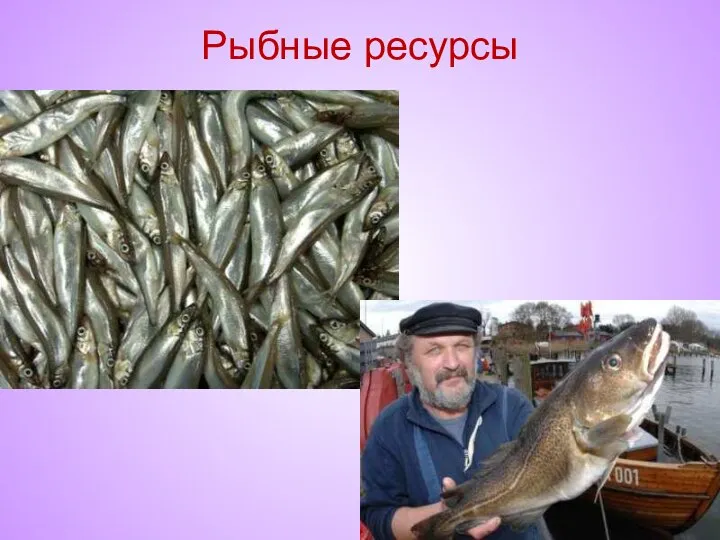 Рыбные ресурсы