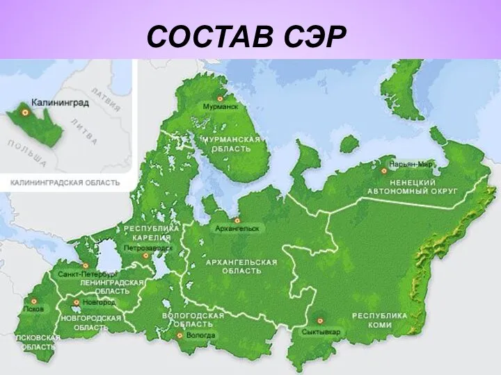 СОСТАВ СЭР