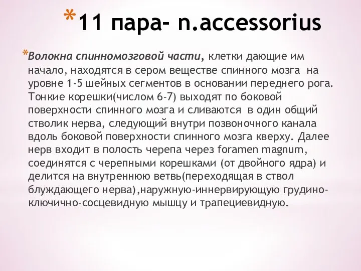 11 пара- n.accessorius Волокна спинномозговой части, клетки дающие им начало, находятся в