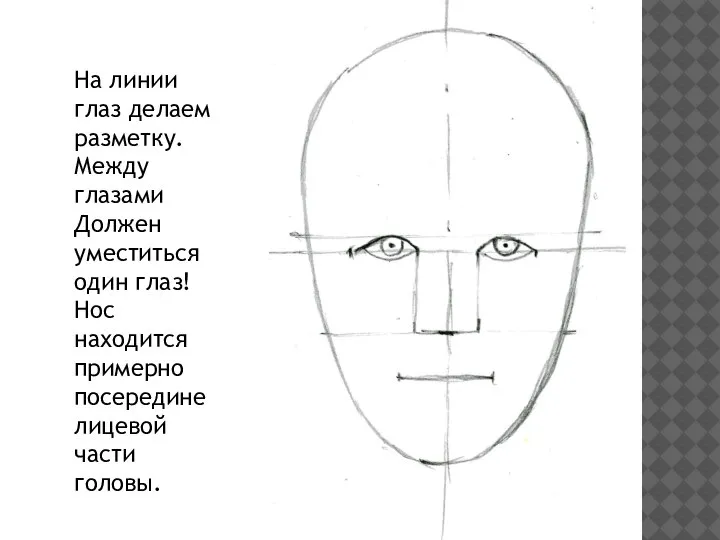 На линии глаз делаем разметку. Между глазами Должен уместиться один глаз! Нос