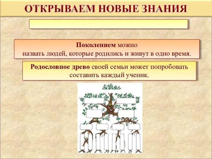 Поколением можно назвать людей, которые родились и живут в одно время. Родословное