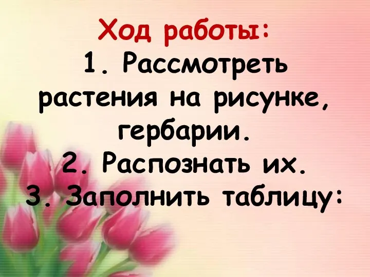 Ход работы: 1. Рассмотреть растения на рисунке, гербарии. 2. Распознать их. 3. Заполнить таблицу: