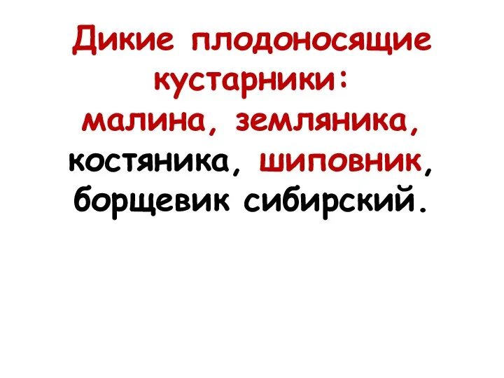 Дикие плодоносящие кустарники: малина, земляника, костяника, шиповник, борщевик сибирский.