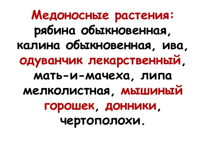 Медоносные растения: рябина обыкновенная, калина обыкновенная, ива, одуванчик лекарственный, мать-и-мачеха, липа мелколистная, мышиный горошек, донники, чертополохи.